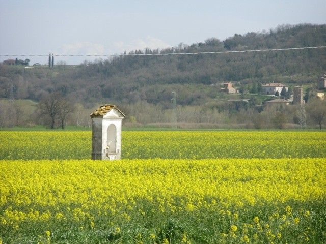 Cosa visitare nei dintorni