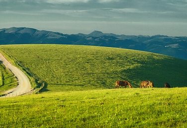 L’Umbria dei Parchi