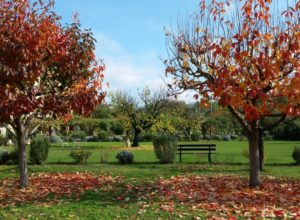 Autunno a Pietrafitta